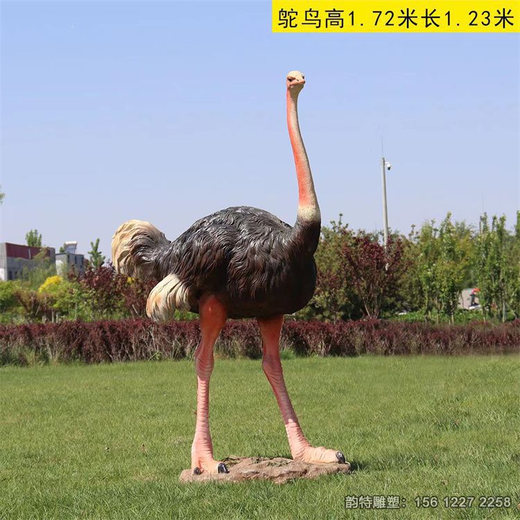 玻璃鋼鴕鳥雕塑 捕獲了鴕鳥的高雅與威勢 玻璃鋼鴕鳥雕塑 捕獲了鴕鳥的高雅與威勢
